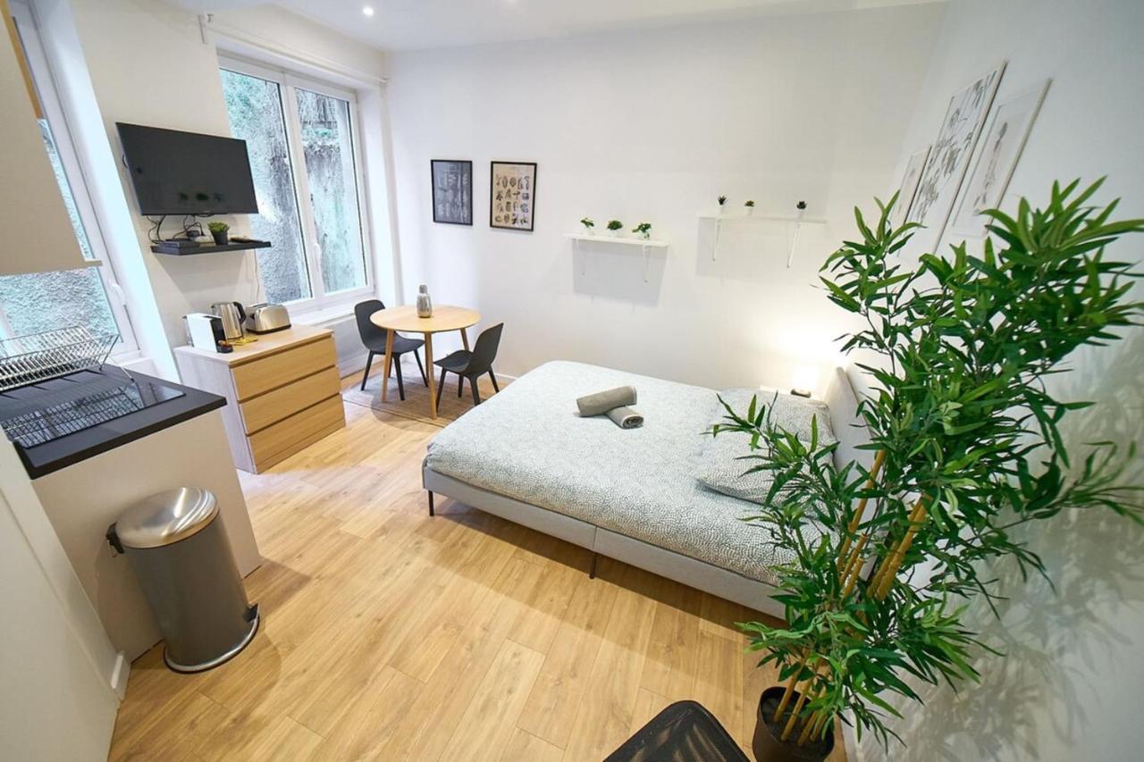 Appartement Le Petit Pierre Scize - Quais De Saone à Lyon Extérieur photo